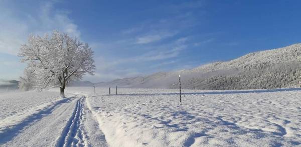 Hôtel Restaurant Les Tilleuls