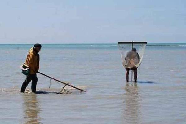 O DELA DE L'O LE BOIS - gîte de charme entre Côte d'Albâtre et Baie de Somme