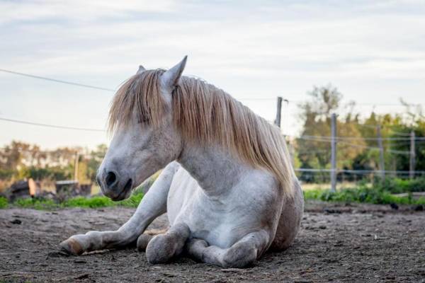 B&B Maison d'hôte Mas d'Eymard