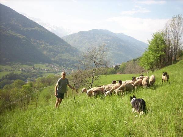 Ferme Auberge du Bessard