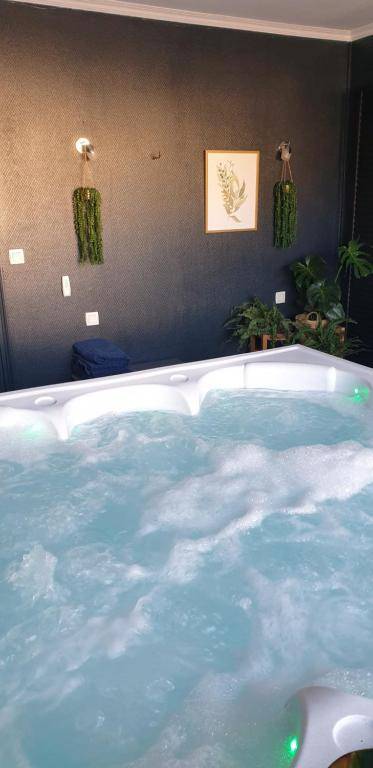 Appartement entier/Jaccuzi privatif/Love room