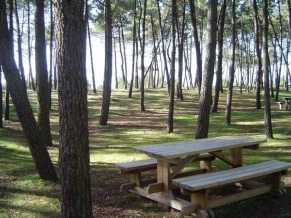 Maison La Faute-sur-Mer 4 pièces 6 personnes - FR-1-476-87