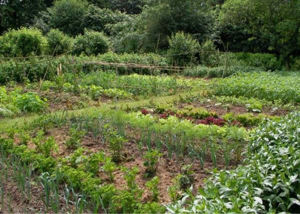 Château "Le Castel des Anges"