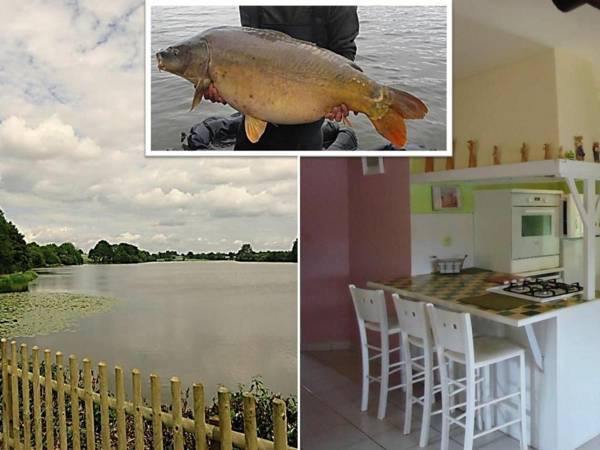 Gîte Montjean 3 pièces 5 personnes - FR-1-600-39