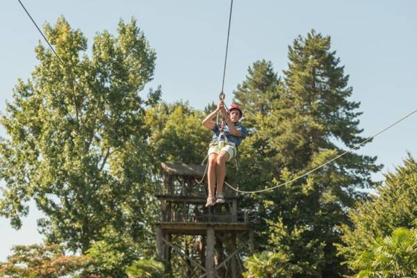 Insolite dans les arbres Les Ormes Epiniac