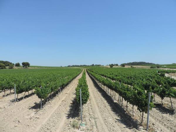 Gîtes Le "Val-Léa"