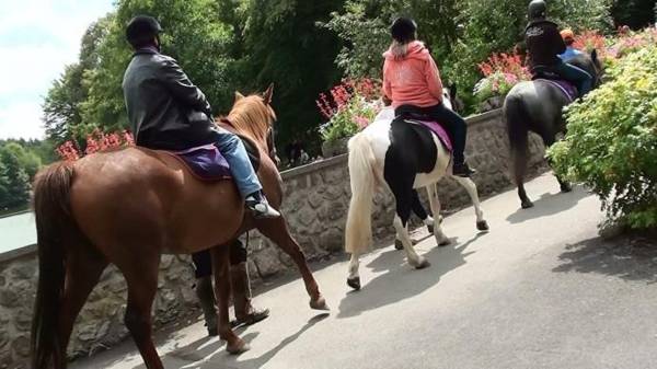 ibis les Etangs des Moines