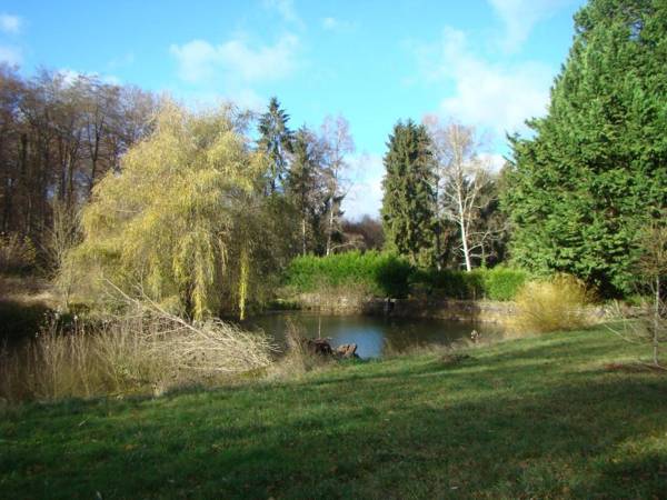 Nid dans la forêt