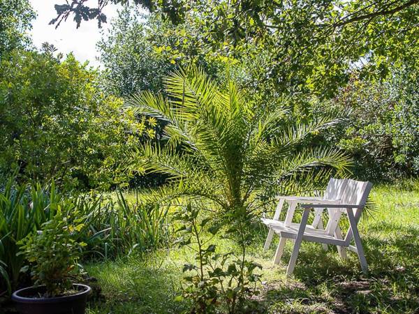 Au détour des vignes