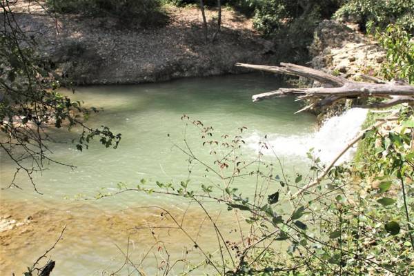 Ferme Equestre Les Coccinelles