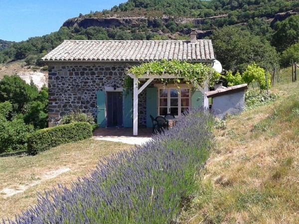 Beautiful Holiday Home in Saint-Pons near Forest