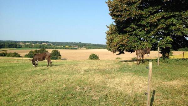 Maison d hôtes Casa Sana