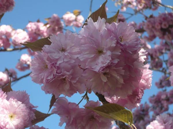 Chambres D'hôtes Anne-Marie