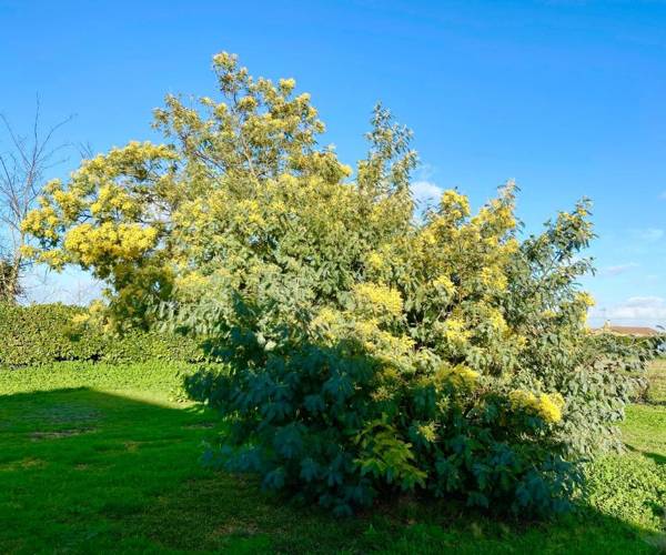 Comme une évidence maison d'hotes