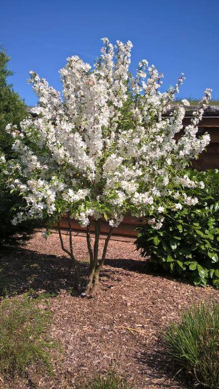 Les Chalets de Maramour