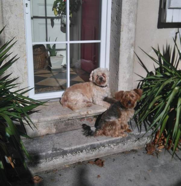 A la Grenouille du Jura