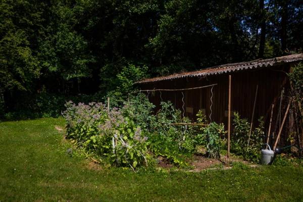 Gite la Maison de la Pimpine Lignan de Bordeaux