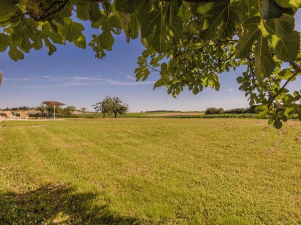 Charming holiday home in Aquitaine with Swimming Pool