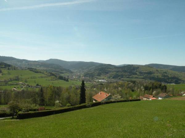 Gîte Fraize 2 pièces 3 personnes - FR-1-589-81