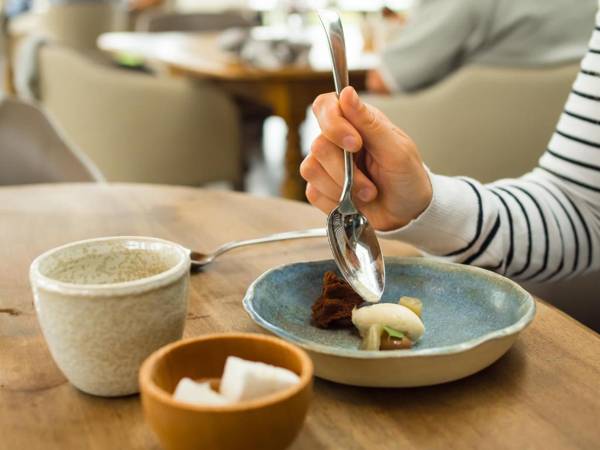 Le Saltimbanque - Auberge du Moulin - Garden Swim Spa