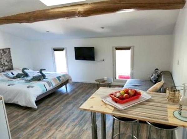 Studio avec piscine partagee jardin clos et wifi a Saint Jory