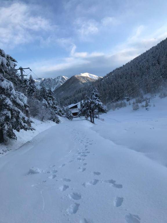 Hôtel Green Ecolodge