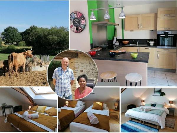 Gîte Cossé-le-Vivien 4 pièces 6 personnes - FR-1-600-143