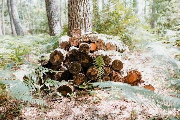 Tiny Stay - Ecolodge