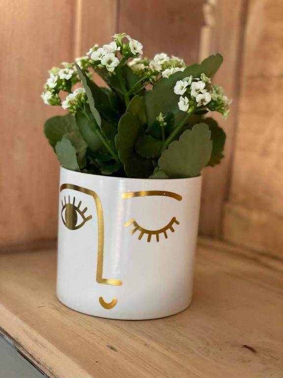 Chez Brunet chambres d'hôtes