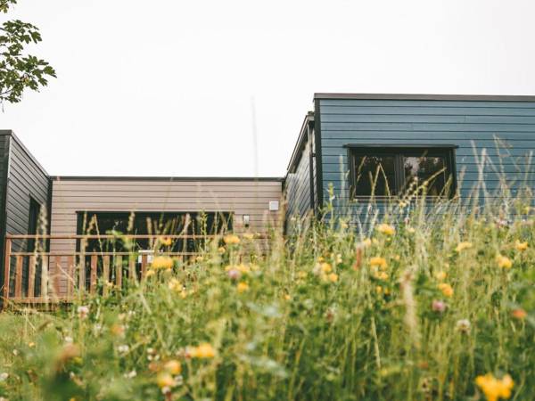 Modernly furnished cottage with beautiful terrace by a lake