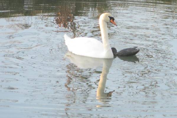 Chateau de La Semondiere