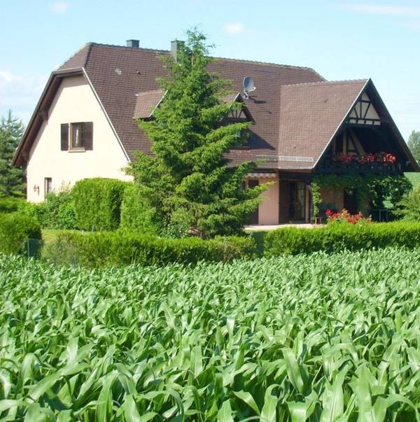 Appartement de 2 chambres avec jardin clos et wifi a Hochfelden