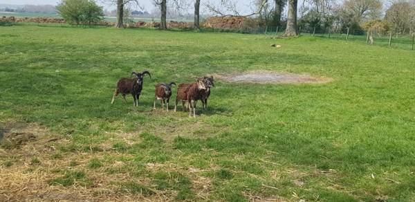 Le Blockhaus de Domléger et Spa