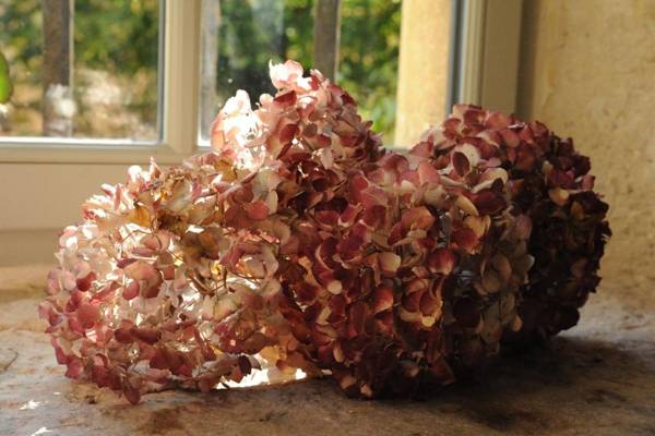 Les Chambres De La Renaissance