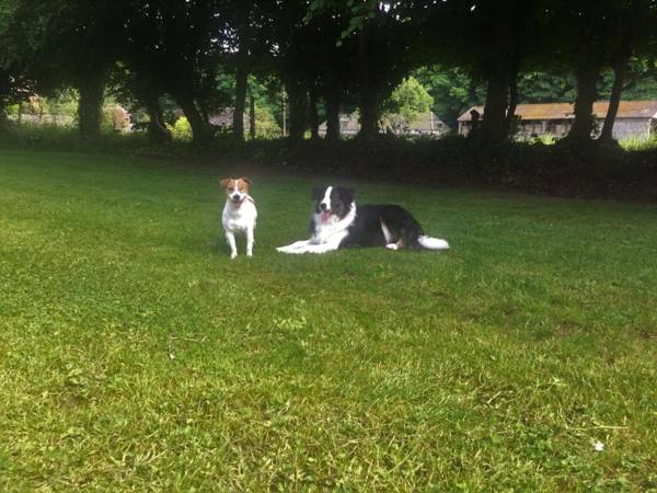 Chambres d'Hôtes Aux Ecuries du Chateau