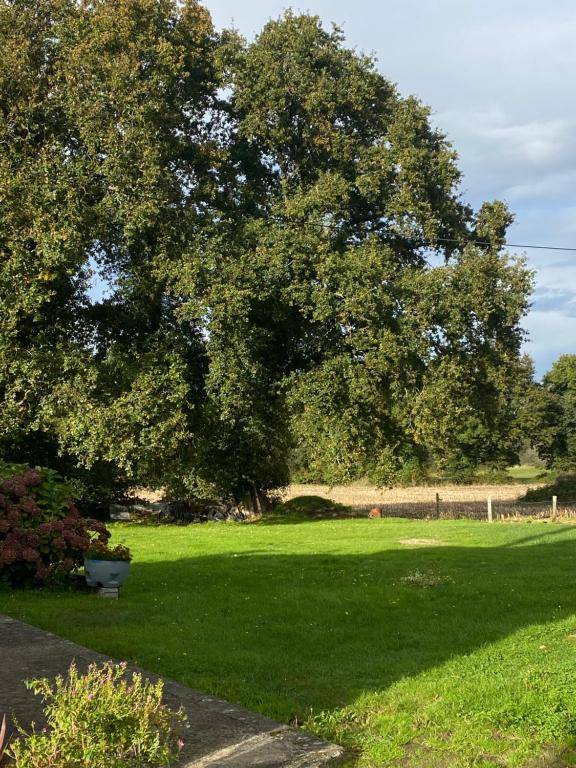 Les Chtis Bretons Chambres d hotes