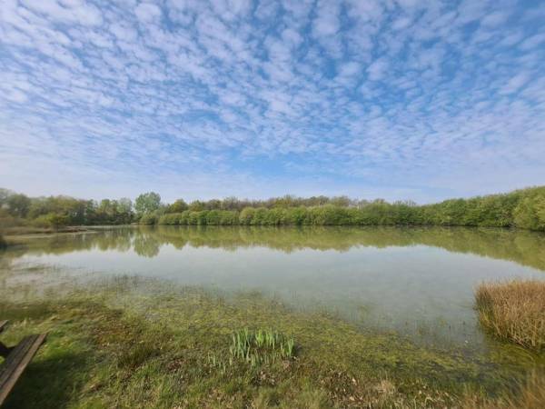 Villa Lingé 4 pièces 7 personnes - FR-1-591-313