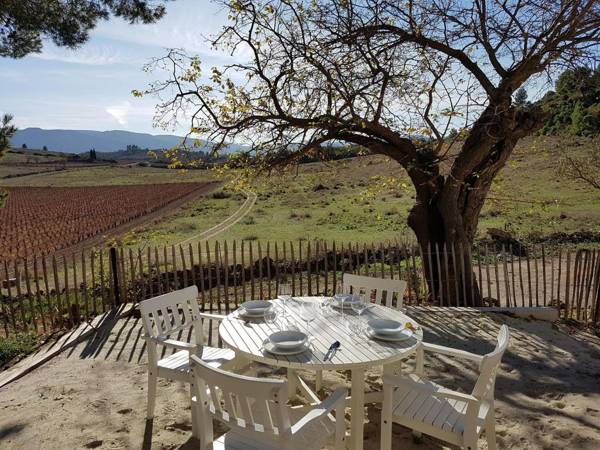 Classy Apartment in Villesèque-des-Corbières with Swimming Pool