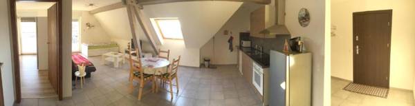 Appartement d'une chambre avec wifi a Lohr