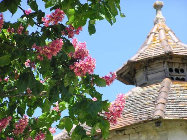 Domaine de L'Isle Basse