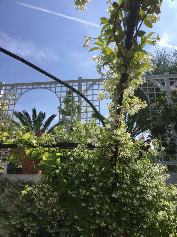 Mas de Provence en Riviera