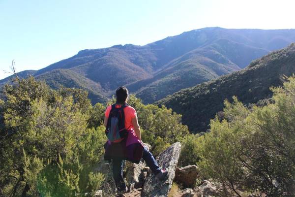 La Grange at Laroque