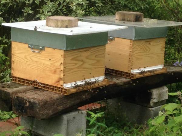 Chambres d'hôtes Cœur de Sundgau