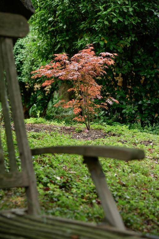 Château de Champ-Renard