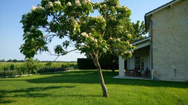 Airial de Tourteau Chollet