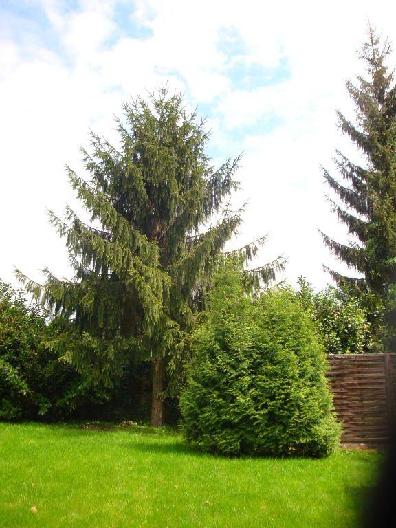 Maison d'hôtes Alsace - 4 chambres d'hôte - private Gästezimmer Elsass - private guest rooms Alsace