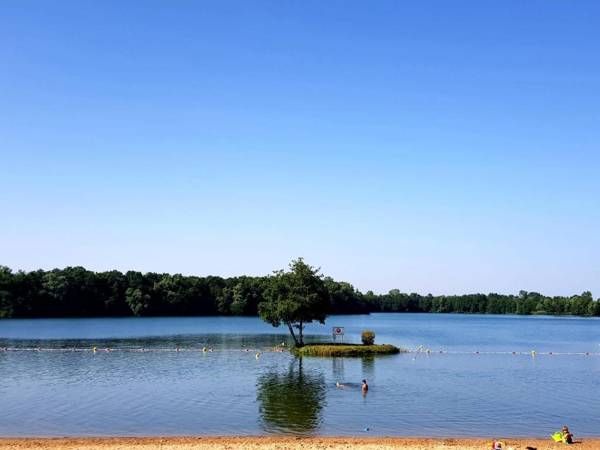 Les Voiles de Laives