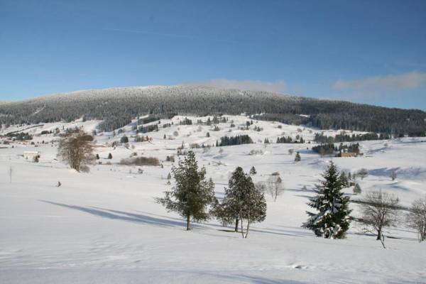 Au Coeur du Lapidaire
