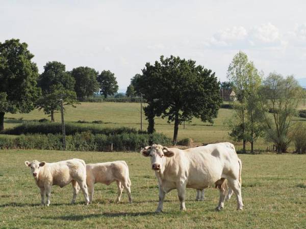 Gîte Monétay-sur-Loire 4 pièces 7 personnes - FR-1-489-107
