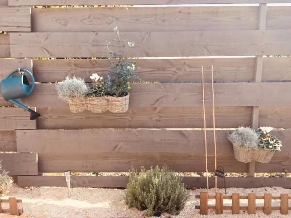 Un Figuier dans notre Jardin